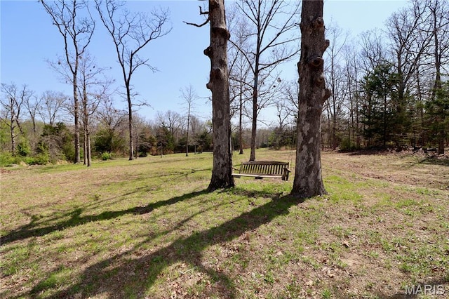 18921 Pleasant View Ln, Lebanon, MO 65536 - view of green lawn