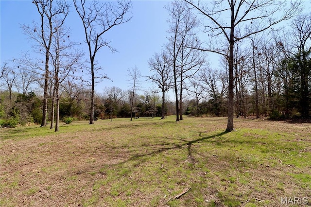 18921 Pleasant View Ln, Lebanon, MO 65536 - view of local wilderness