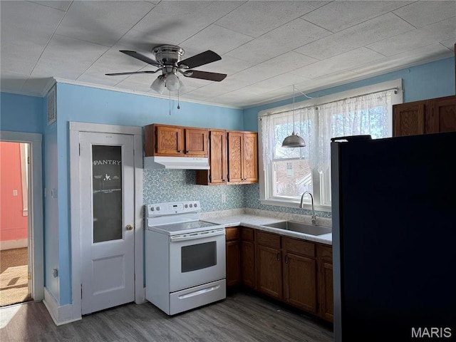 801 W Rolla Rd, Salem, MO 65560 - kitchen with white range with electric stovetop, freestanding refrigerator, a sink, dark wood finished floors, and under cabinet range hood