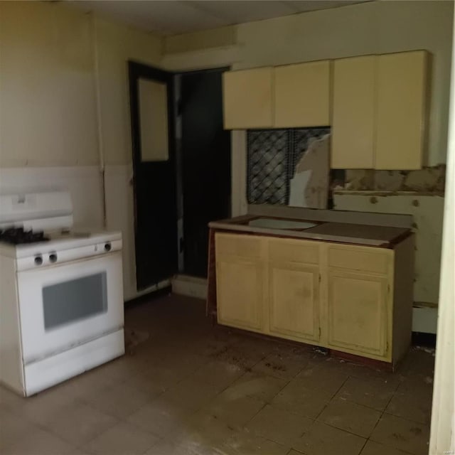 4341 Shreve Ave, Saint Louis, MO 63115 - kitchen with gas range gas stove