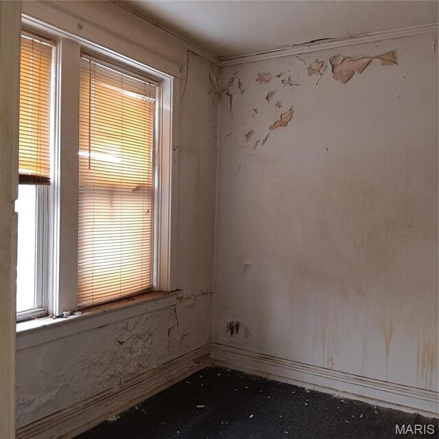 4341 Shreve Ave, Saint Louis, MO 63115 - spare room featuring ornamental molding