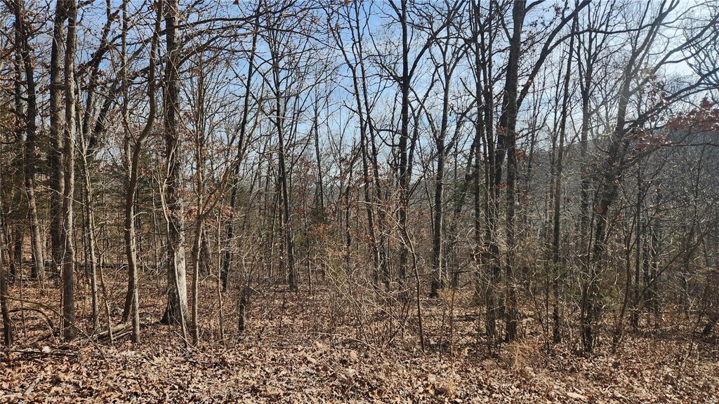 9420 Opal, French Village, MO 63036 - photo 1