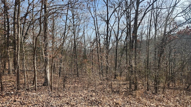 9420 Opal, French Village, MO 63036 - photo 1