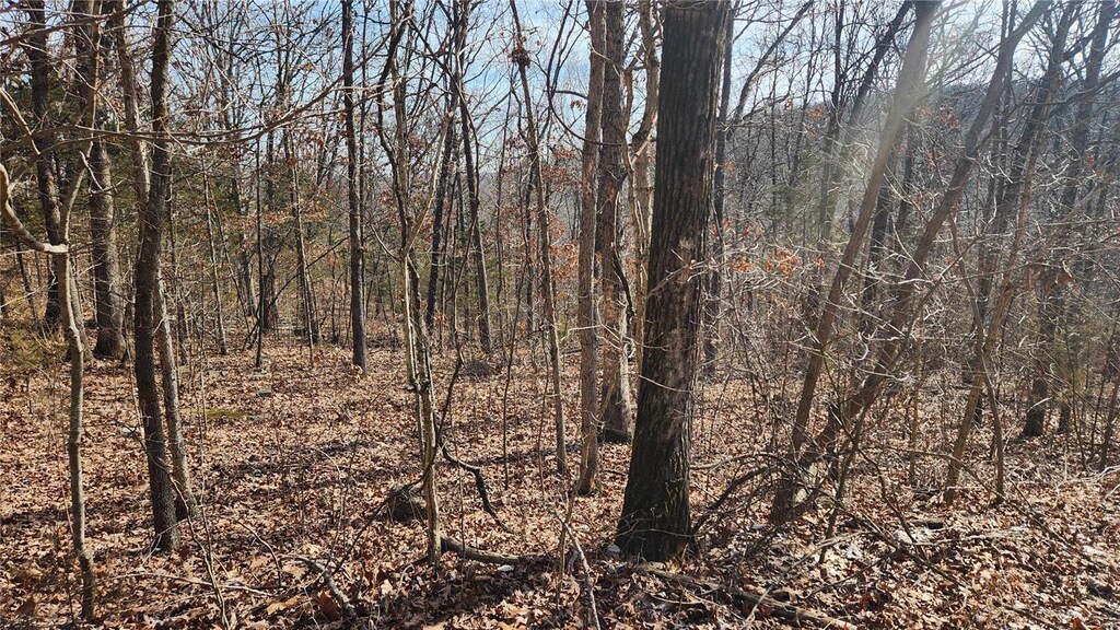 9420 Opal, French Village, MO 63036 - photo 2