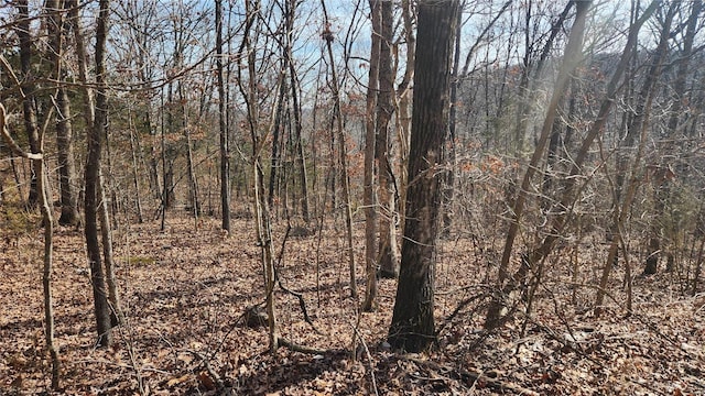 9420 Opal, French Village, MO 63036 - photo 2