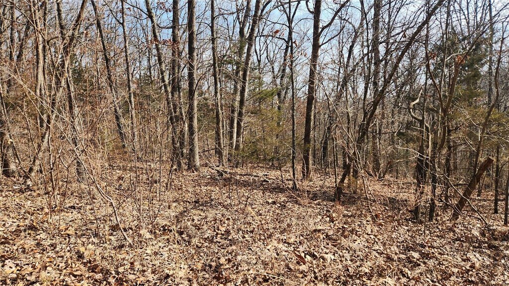 9420 Opal, French Village, MO 63036 - photo 3