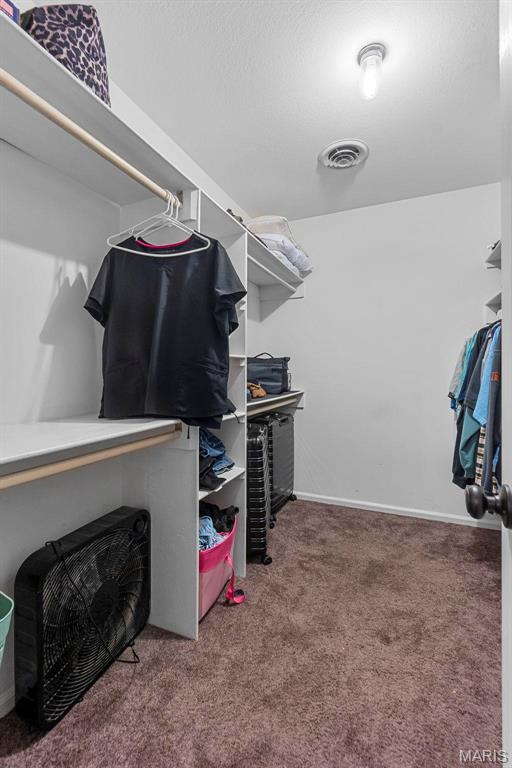 912 Westview Dr, Sikeston, MO 63801 - spacious closet with carpet flooring