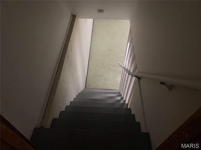 1445 Fairmeadows Ln, Saint Louis, MO 63138 - view of stairs