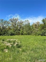 1417 Fairwood Dr, Belleville, IL 62220