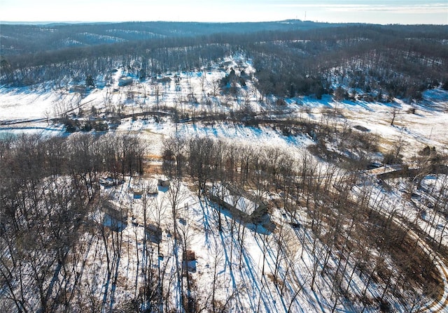 snowy aerial view featuring a view of trees