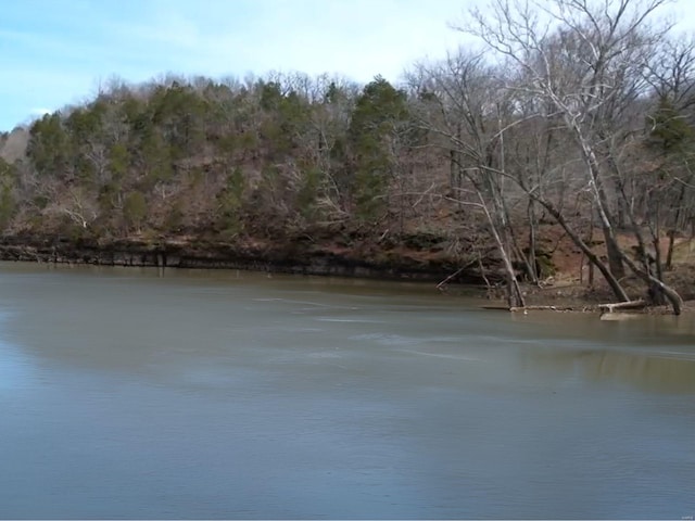 3G- Utica Dr, Richland, MO 65556 - photo 1