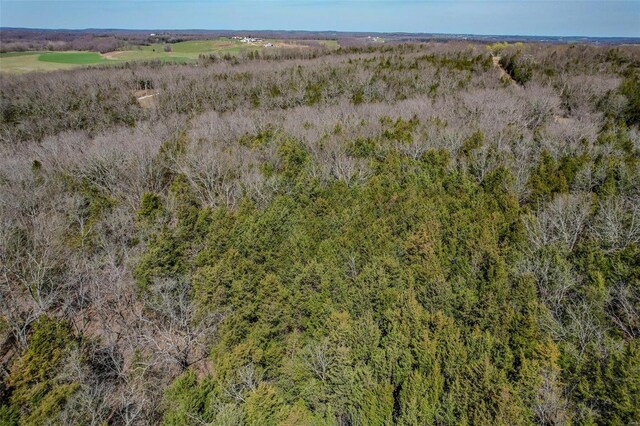 3G- Utica Dr, Richland, MO 65556 - photo 19