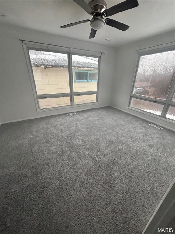 7214 Harney Ave, Saint Louis, MO 63136 - photo 12
