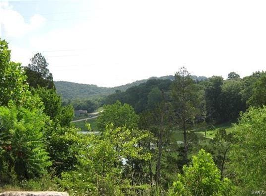 5 Broken Arrow Ct, Byrnes Mill, MO 63025