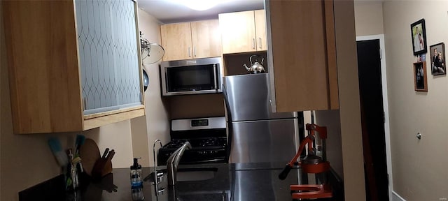 kitchen with appliances with stainless steel finishes and dark countertops
