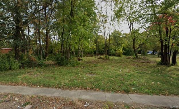 4010 Caseyville Ave E, St Louis, IL 62204 - photo 1