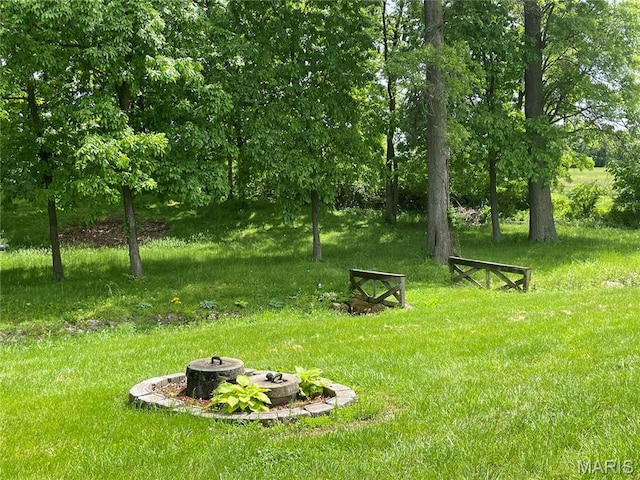 9106 Schupbach, Sparta, IL 62286 - photo 3