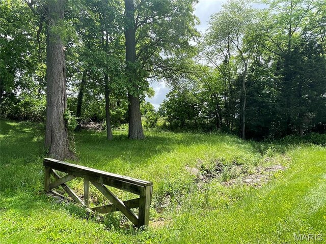 9106 Schupbach, Sparta, IL 62286 - photo 50