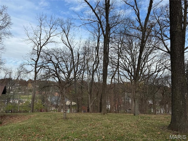 view of grassy yard