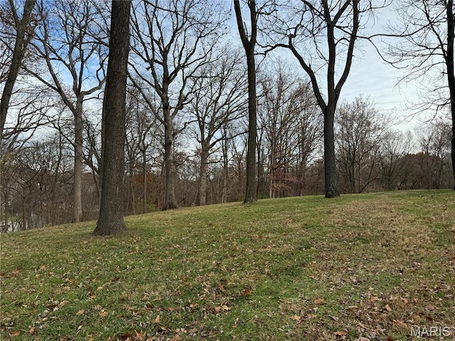 view of wooded area