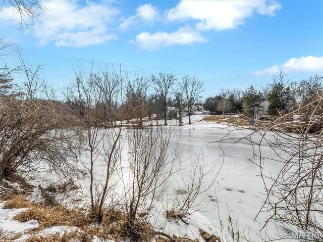3553 Evergreen Dr, Catawissa, MO 63015 - view of snowy yard