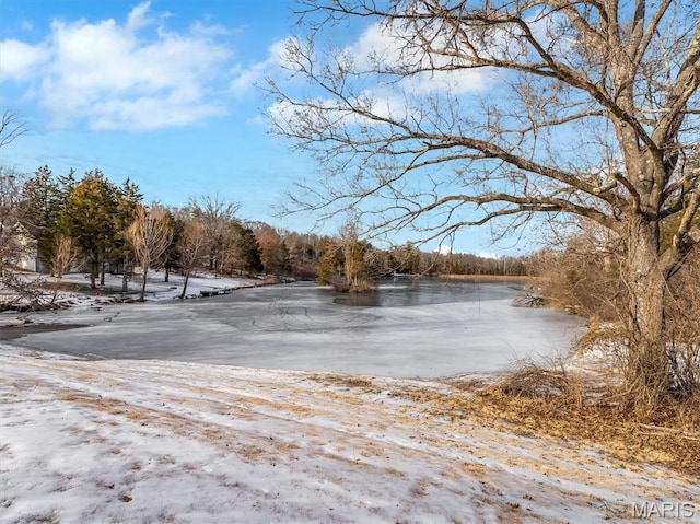 3553 Evergreen Dr, Catawissa, MO 63015 - view of yard with a water view