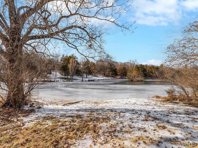 3553 Evergreen Dr, Catawissa, MO 63015 - view of yard covered in snow