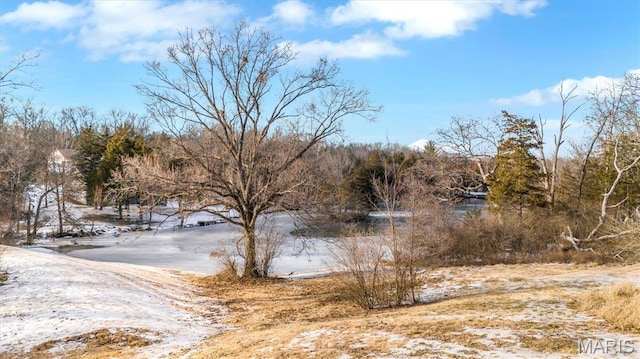 3553 Evergreen Dr, Catawissa, MO 63015 - view of street