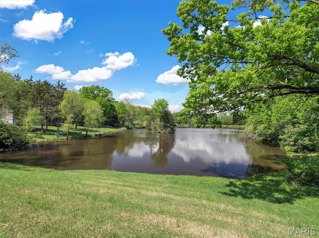 3553 Evergreen Dr, Catawissa, MO 63015 - water view