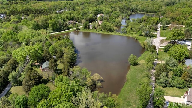 3553 Evergreen Dr, Catawissa, MO 63015 - bird's eye view of a forest and a large body of water