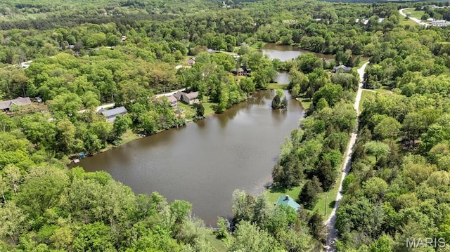 3553 Evergreen Dr, Catawissa, MO 63015 - view of property location featuring a forest and a nearby body of water