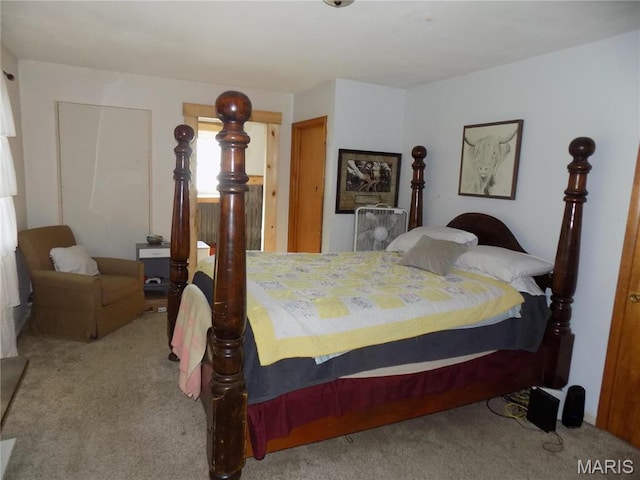 170 County Rd, Ironton, MO 63650 - view of carpeted bedroom