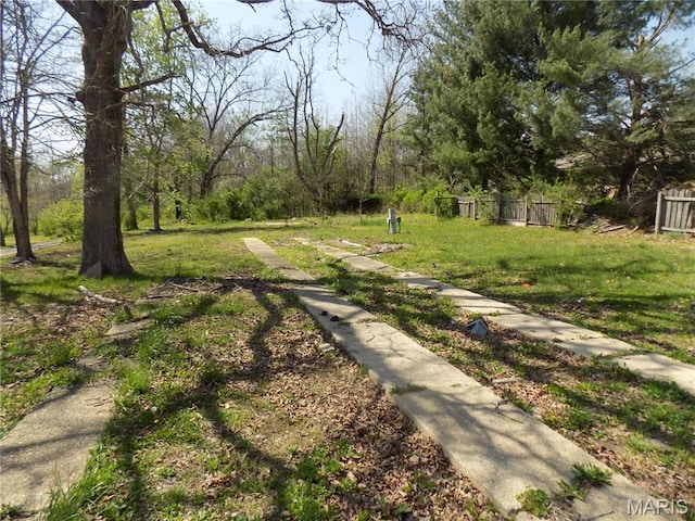 170 County Rd, Ironton, MO 63650 - view of yard