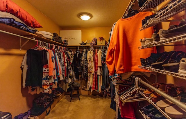 spacious closet with carpet flooring