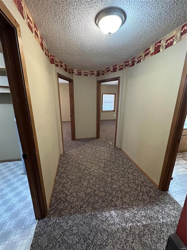 4117 State Highway 21, Grandin, MO 63943 - hallway with a textured ceiling and carpet
