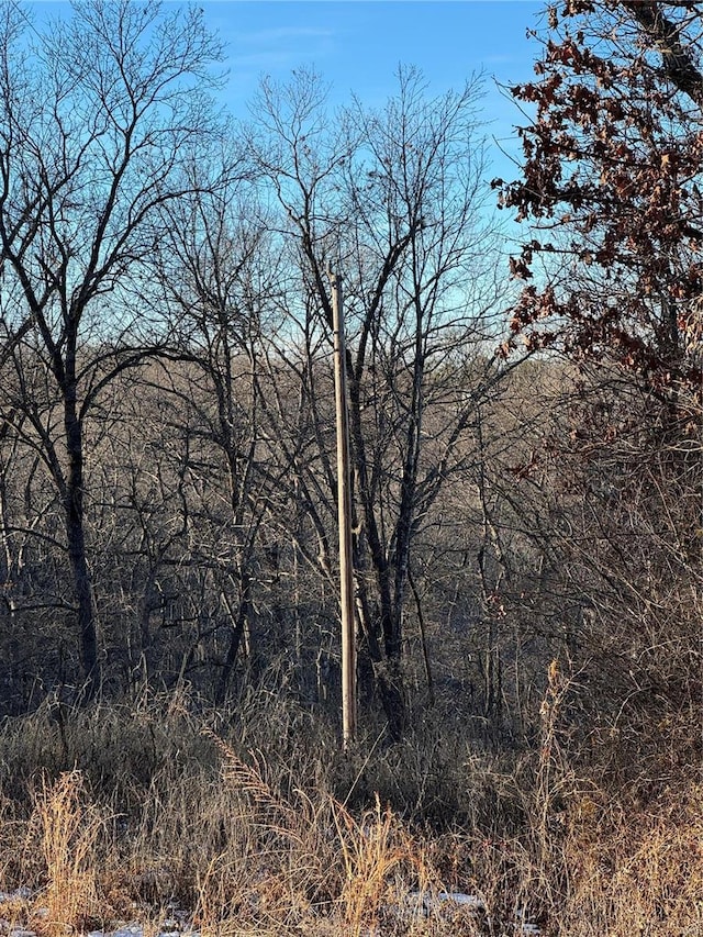 0 Laramie Rd, Saint Robert, MO 65584