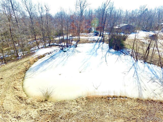 792 County Road 466, Poplar Bluff, MO 63901 - view of snowy yard