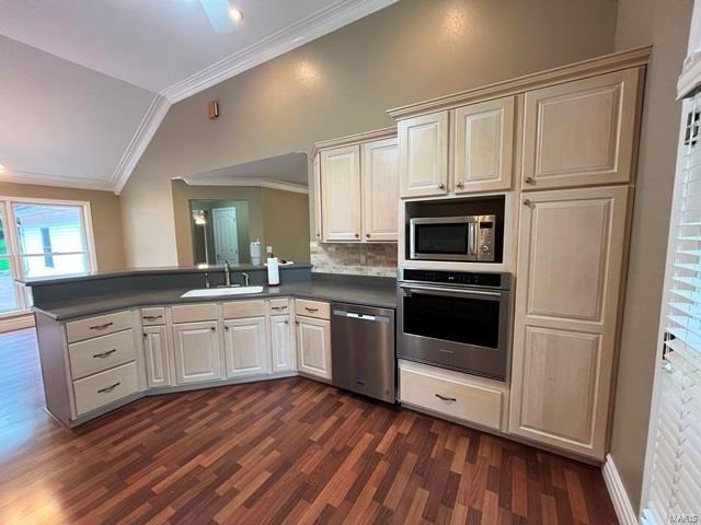 15800 State Highway Ad, Dexter, MO 63841 - kitchen with stainless steel appliances, dark wood-type flooring, lofted ceiling, a peninsula, and ornamental molding
