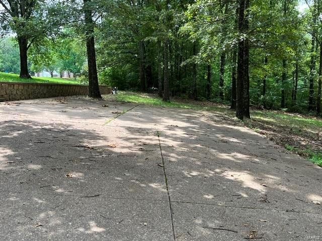 15800 State Highway Ad, Dexter, MO 63841 - view of street