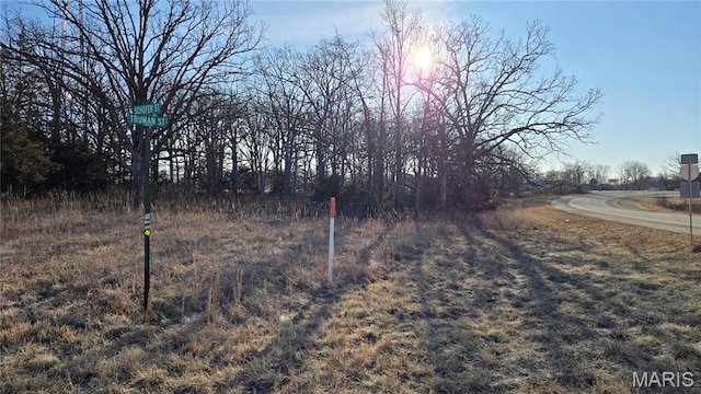 0 Schofer St, Newburg, MO 65550 - photo 2