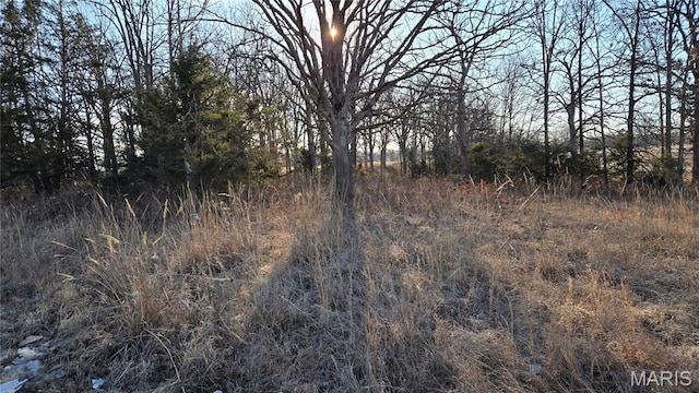 0 Schofer St, Newburg, MO 65550 - photo 3