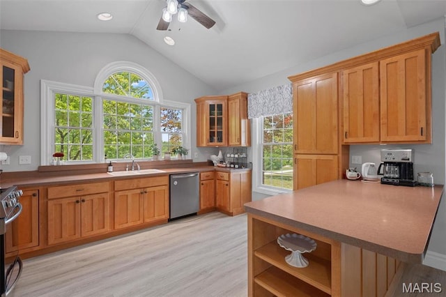 850 Aj Farm Ln, Washington, MO 63090 - kitchen featuring stainless steel appliances, a sink, ceiling fan, lofted ceiling, and light wood-style floors