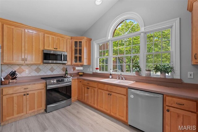 850 Aj Farm Ln, Washington, MO 63090 - kitchen featuring appliances with stainless steel finishes, lofted ceiling, a sink, backsplash, and light wood-style floors