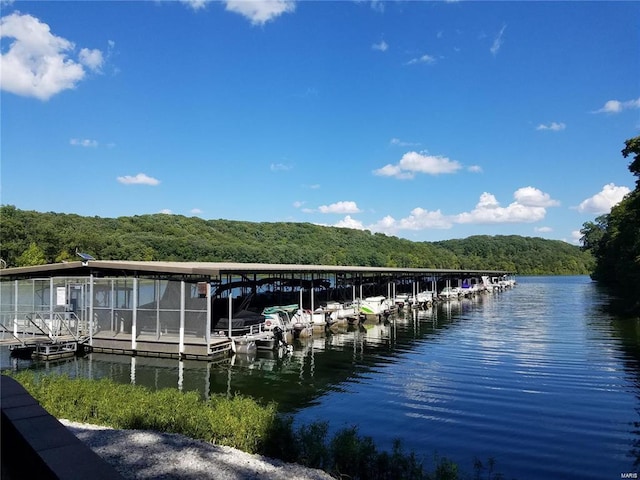 dock area featuring a wooded view and a water view