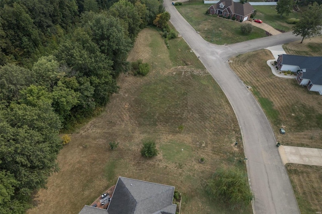 1176 Spring Brook Park Dr, Farmington, MO 63640