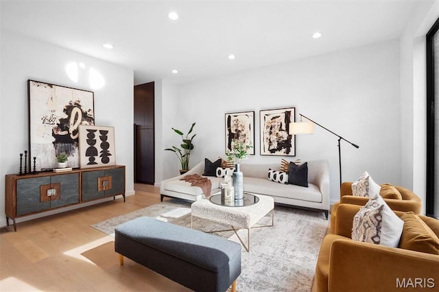 215 N Sarah St Unit 13, Saint Louis, MO 63108 - living room featuring wood finished floors and recessed lighting