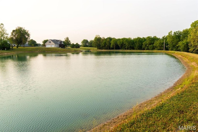 13112 Heritage Ln, Pocahontas, IL 62275 - water view