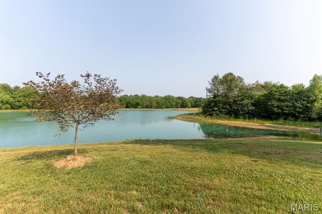 13112 Heritage Ln, Pocahontas, IL 62275 - water view featuring a forest