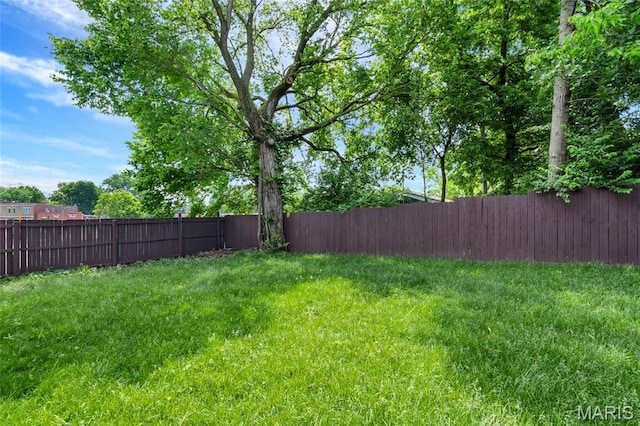 3258 Walter Ave, Saint Louis, MO 63143 - view of fenced backyard