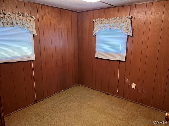 802 S Borders Ave, Marissa, IL 62255 - photo 15
